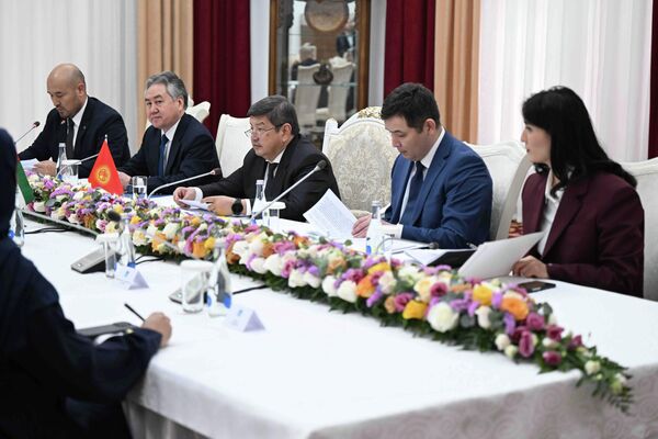 Кыргызстан заинтересован в получении опыта Объединенных Арабских Эмиратов по разработке долгосрочных стратегий - Sputnik Кыргызстан