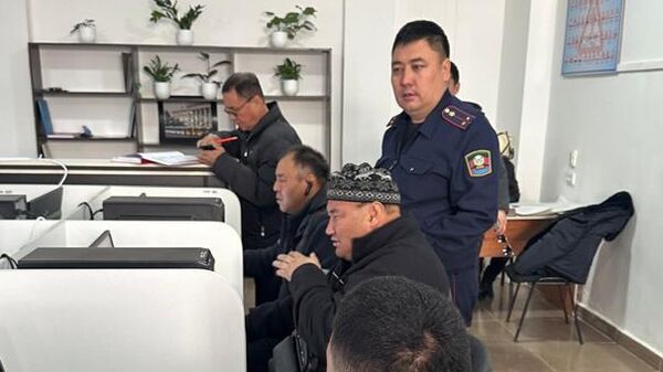 Иллюстративдик сүрөт - Sputnik Кыргызстан