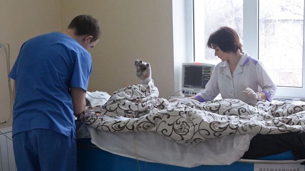Медицинские работники ухаживают за пациентом с ожогами в больнице. Архивное фото - Sputnik Кыргызстан