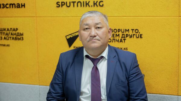 Заведующий Отделом развития земледелия Минсельхоза Нурдин Довлетов - Sputnik Кыргызстан