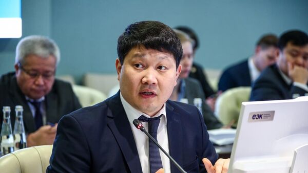 Министр таможенного сотрудничества ЕЭК Эльдар Алишеров - Sputnik Кыргызстан