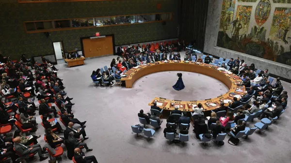 Заседание Совета Безопасности ООН в Нью-Йорке - Sputnik Кыргызстан