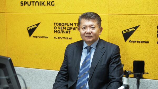 Кыргызстандын атайын жана ыйгарым укуктуу элчиси, саясат таануу илимдеринин доктору, профессор Аликбек Жекшенкулов. Архив - Sputnik Кыргызстан