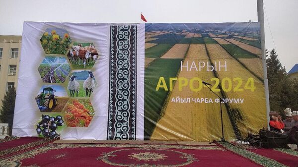 Нарында дыйкан-фермерлер үчүн форум өттү - Sputnik Кыргызстан