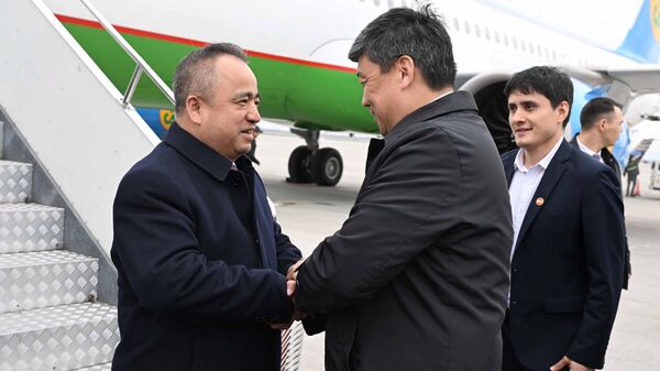 В Кыргызстан прилетел глава Народного правительства СУАР - Sputnik Кыргызстан