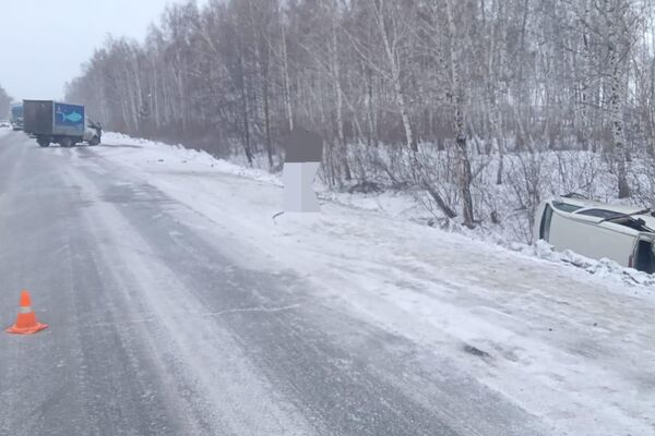 Каргаша 29-мартта Челябинск — Троица унаа жолунун 93-чакырымында катталган - Sputnik Кыргызстан