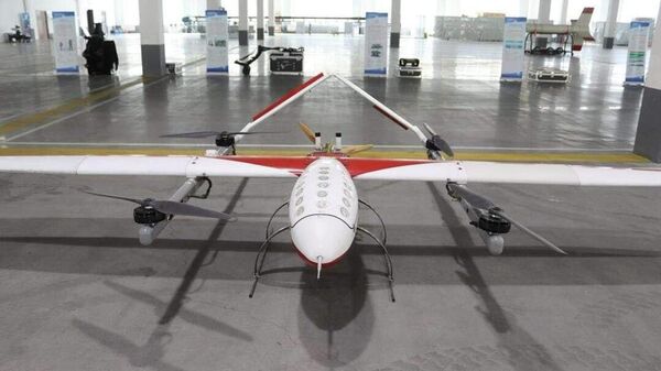 В Нарыне собираются открыть завод по сборке дронов - Sputnik Кыргызстан
