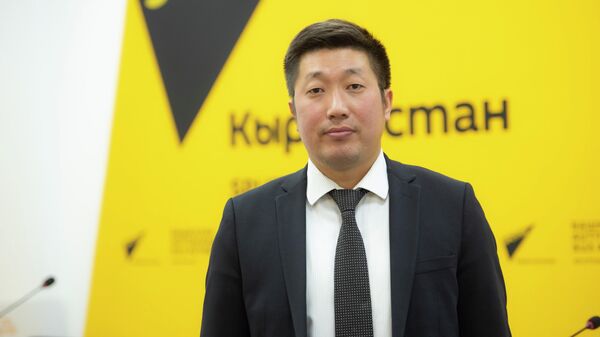 Экономика жана коммерция министрлигинин салык саясаты башкармалыгынын башчысы Кубанычбек Ысабеков  - Sputnik Кыргызстан