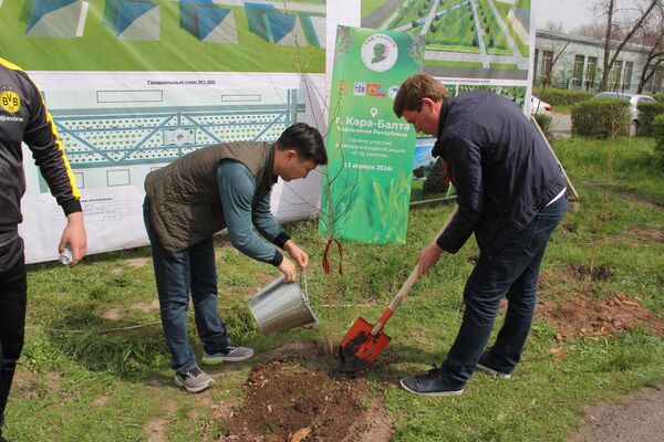 Участники акции посадили 500 саженцев карагача, тополя и березы - Sputnik Кыргызстан