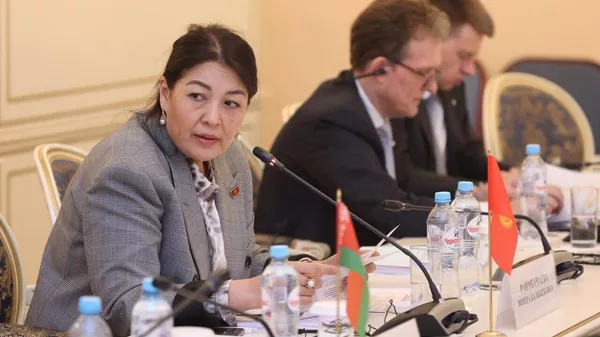 Жогорку Кеңештин депутаты Винера Раимбачаева - Sputnik Кыргызстан