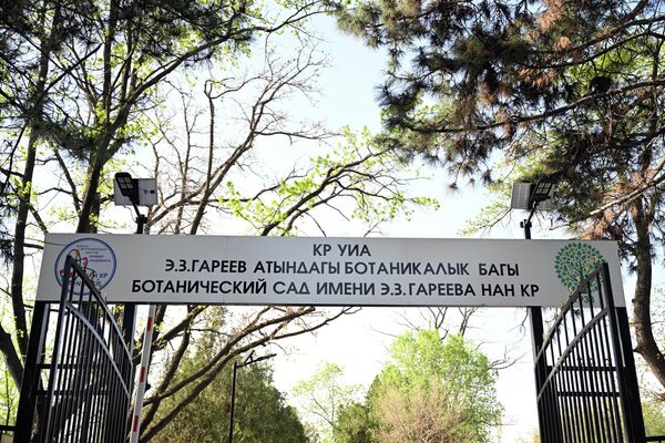 Сегодня глава государства посетил Ботанический сад имени Э. Гареева после реконструкции - Sputnik Кыргызстан