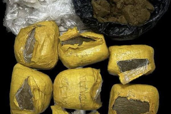 В Кыргызстане у членов транснациональной наркогруппировки выявили 19 килограммов 248 граммов гашиша - Sputnik Кыргызстан