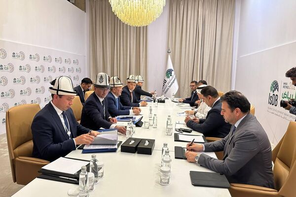 Исламский банк развития выделит Кыргызстану 79 миллионов на строительство социального жилья - Sputnik Кыргызстан
