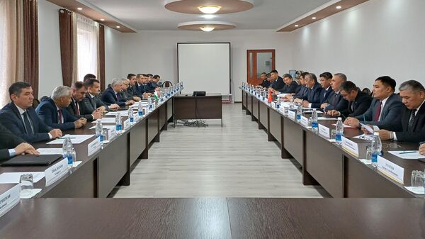 Встреча топографических рабочих групп по правовым вопросам по делимитации кыргызско-таджикской государственной границы в Баткене - Sputnik Кыргызстан