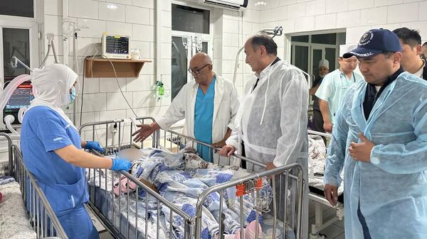 Министр здравоохранения КР ознакомился с состоянием пострадавших в ДТП в Сузаке - Sputnik Кыргызстан