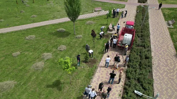 Выпускники российского вуза из 8 стран высадили деревья в Бишкеке — видео - Sputnik Кыргызстан