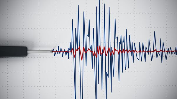 График сейсмической активности, показывающий землетрясение. Иллюстративное фото - Sputnik Кыргызстан