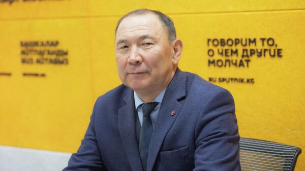 Дипломат, эл аралык мамилелер боюнча эксперт, профессор Кубанычбек Чекиров - Sputnik Кыргызстан