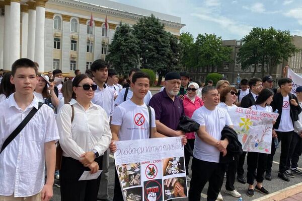 Шествие стартовало возле Национальной филармонии и завершилось на Старой площади, в нем участвовали около тысячи человек - Sputnik Кыргызстан