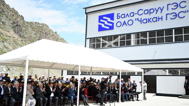 Гаражда бір балапан силап жатыр