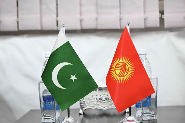 Стороны выразили удовлетворение тем, что благодаря прямому межправительственному контакту недавние события не нанесли ущерба традиционно дружеским кыргызско-пакистанским отношениям - Sputnik Кыргызстан