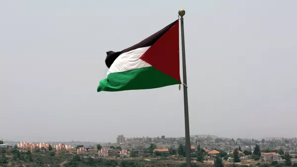 Палестинский национальный флаг. Архивное фото  - Sputnik Кыргызстан