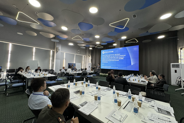 В Бишкеке прошел семинар, посвященный развитию ядерной инфраструктуры, в рамках которого чиновники и энергетики получили консультации международных специалистов - Sputnik Кыргызстан