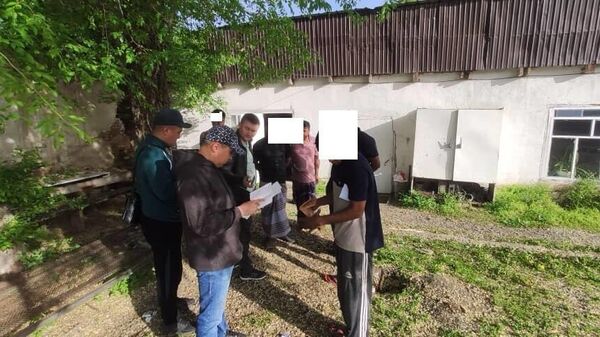 Рейд по выявлению иностранных трудовых мигрантов, работающих без соответствующих разрешительных документов в Иссык-Кульской области  - Sputnik Кыргызстан