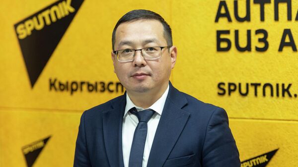Экономика жана коммерция министринин орун басары Назарбек Малаев  - Sputnik Кыргызстан