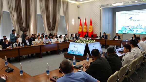 Бишкекте ЕАЭБ жөнүндө келишимдин 10 жылдыгына арналган илимий-практикалык конференция өтүп жатат - Sputnik Кыргызстан