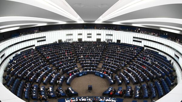 Европарламенттин Страсбургдагы пленардык заседаниесине катышкандар. - Sputnik Кыргызстан
