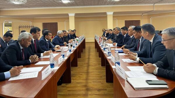 Встреча в Бишкеке топографических рабочих групп по вопросу кыргызско-таджикской границы - Sputnik Кыргызстан