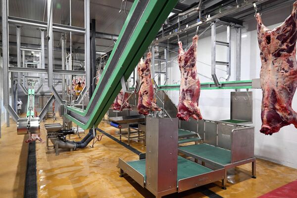 Завод может перерабатывать мясо 100 голов крупного и 1 000 голов мелкого рогатого скота за смену - Sputnik Кыргызстан