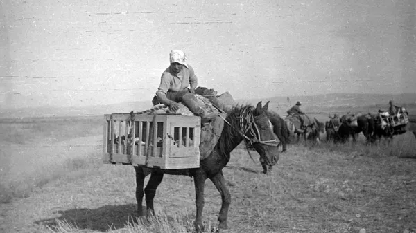 Как жили 100 лет назад в Советском Кыргызстане  - Sputnik Кыргызстан