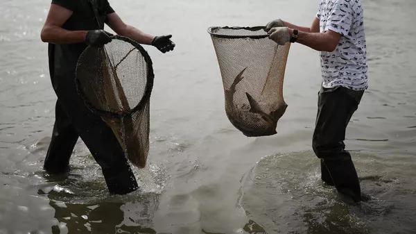 Рыбалка в реке. Архивное фото - Sputnik Кыргызстан