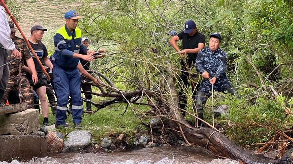 Поиски упавшего в реку ребенка в Таласе - Sputnik Кыргызстан