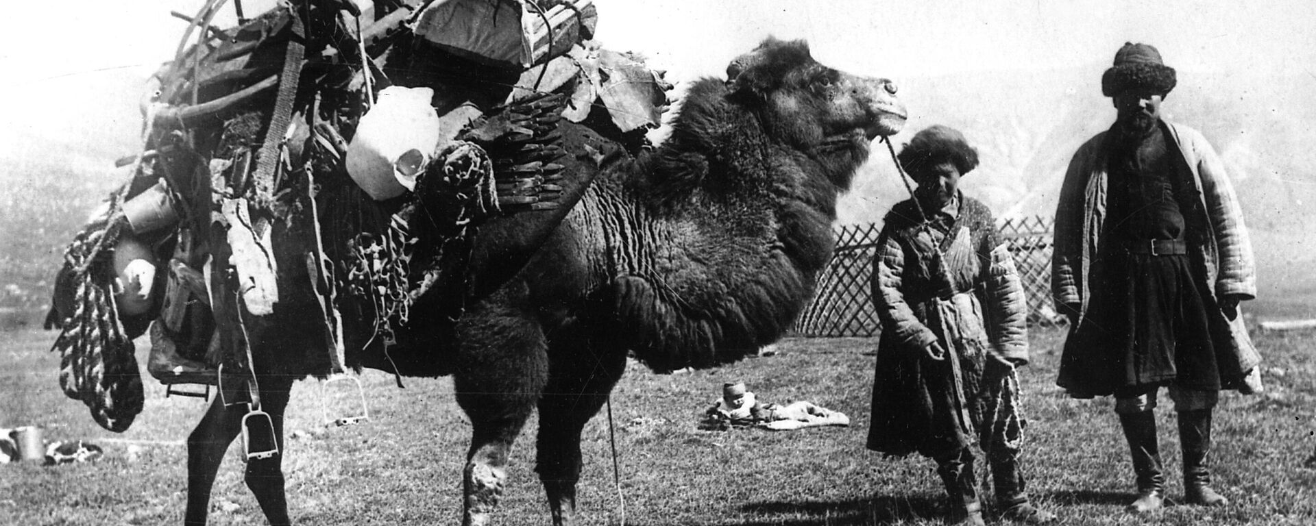 Кыргыз перевозит на верблюде свой скарб и разобранную на части юрту. 1930-е годы - Sputnik Кыргызстан, 1920, 23.06.2024