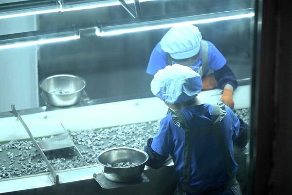 Жолугушууда титаномагнетитти кайра иштетүү боюнча металлургиялык завод куруу маселеси каралган - Sputnik Кыргызстан