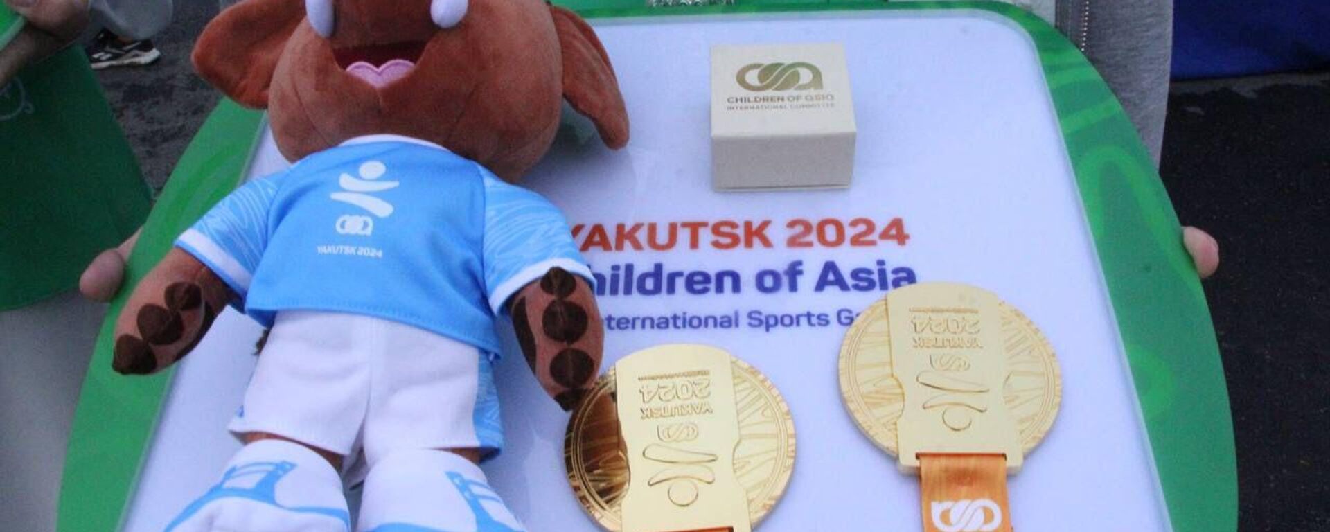 Золотые медали VIII Международных спортивных игр Дети Азии - Sputnik Кыргызстан, 1920, 28.06.2024