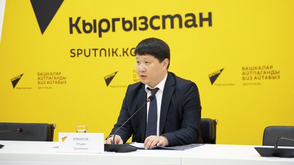 Министр по таможенному сотрудничеству ЕЭК Эльдар Алишеров - Sputnik Кыргызстан