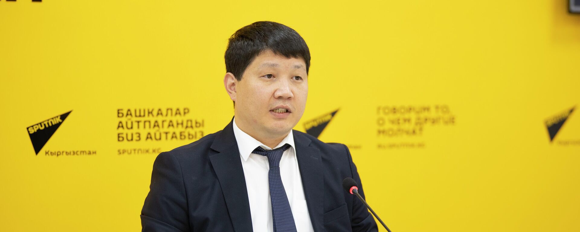 Министр интеграции и макроэкономики ЕЭК Эльдар Алишеров. Архивное фото - Sputnik Кыргызстан, 1920, 02.01.2025