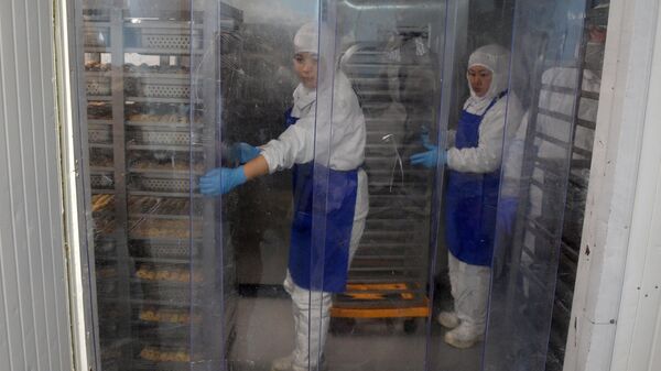 Мигранты на производстве готовой еды в Санкт-Петербурге. Архивное фото - Sputnik Кыргызстан