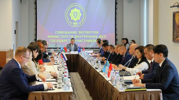 Заседание экспертов министерств внутренних дел СНГ в Минске - Sputnik Кыргызстан