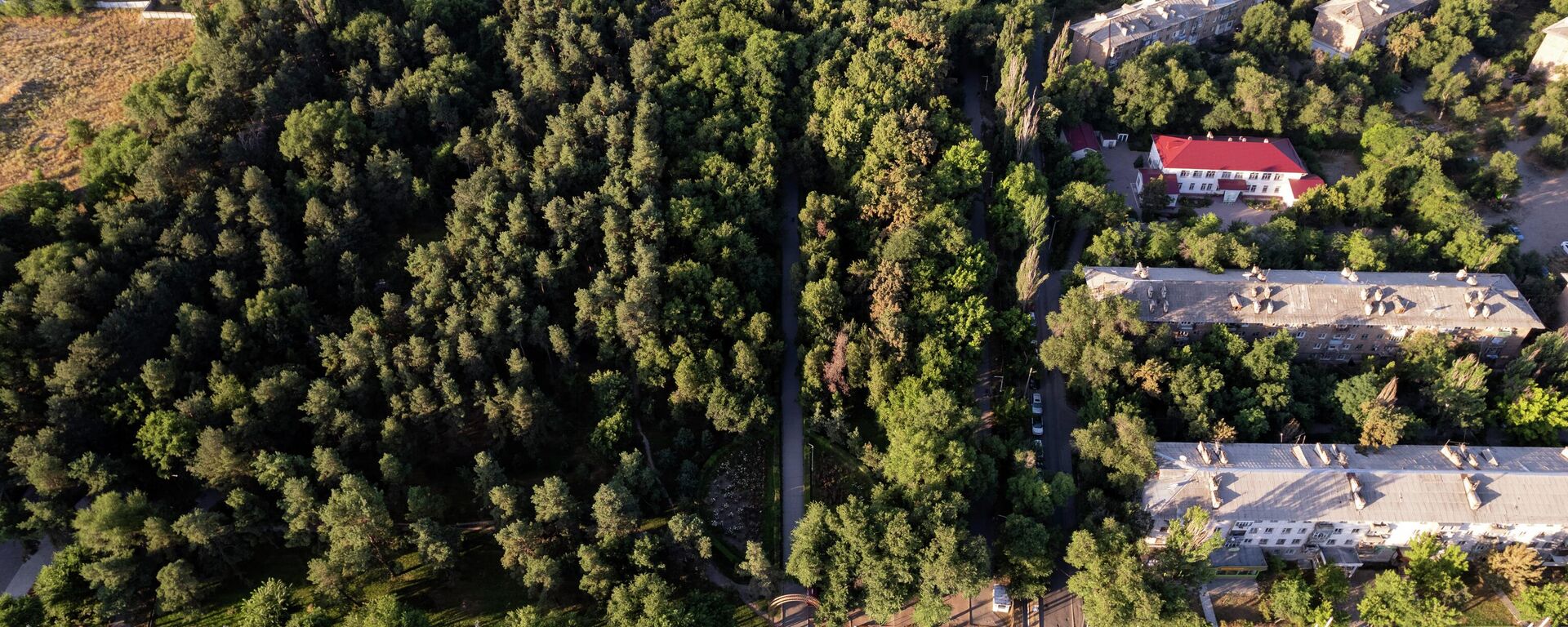 Парк Ататюрка в Бишкеке - Sputnik Кыргызстан, 1920, 24.08.2025