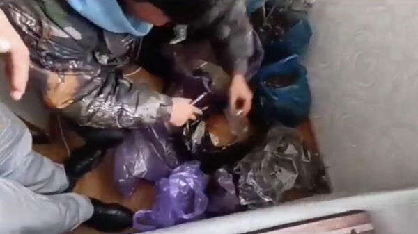 В КР изъяли синтетические наркотики на 60 млн сомов, задержаны 13 человек. Видео - Sputnik Кыргызстан