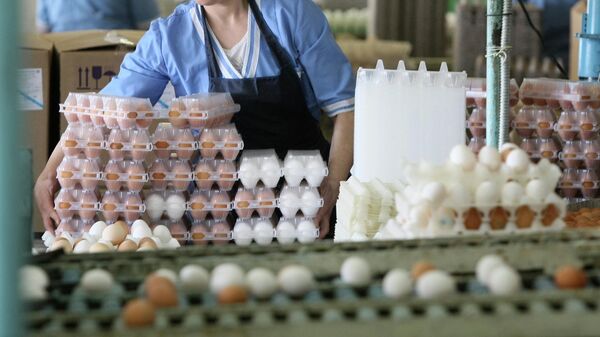 Линия сортировки и упаковки яиц в птицефабрике. Архивное фото  - Sputnik Кыргызстан