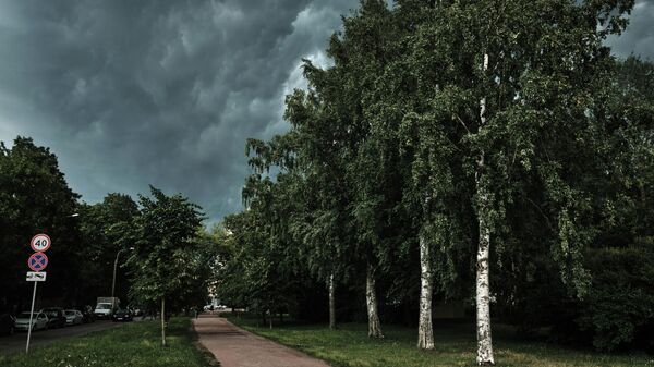 Дождевые облака над городским парком. Архивное фото - Sputnik Кыргызстан