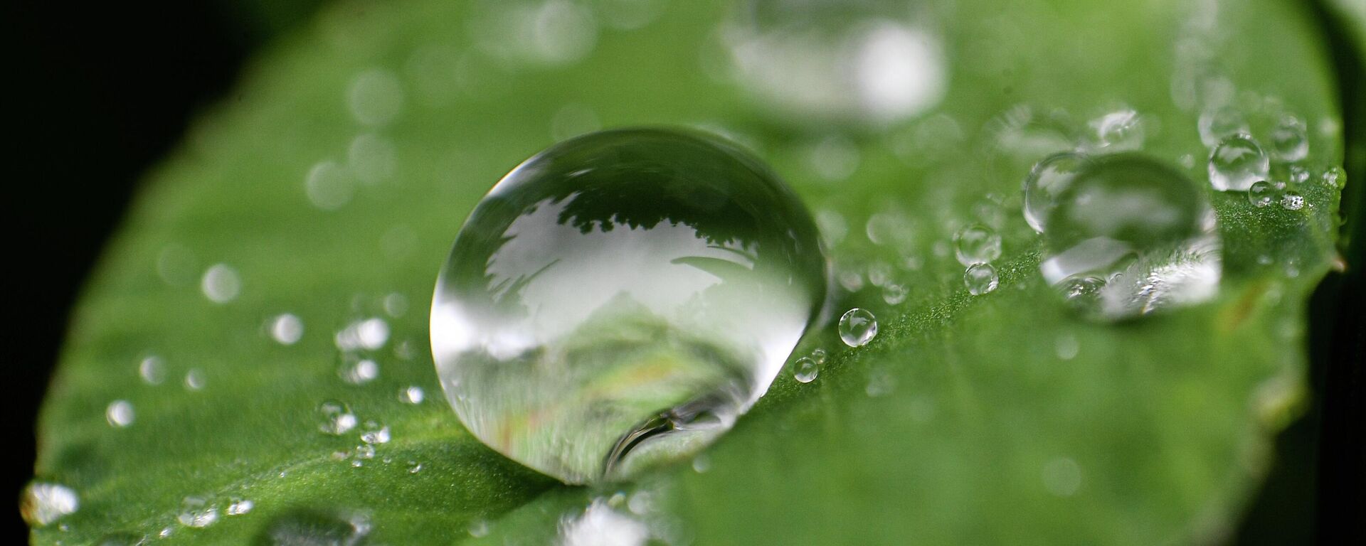  Жамгыр - Sputnik Кыргызстан, 1920, 12.04.2026