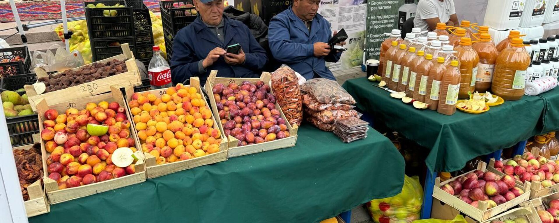 Международная выставка-ярмарка сельхозпродукции Органик экспо-2024 в Бишкеке - Sputnik Кыргызстан, 1920, 19.10.2026