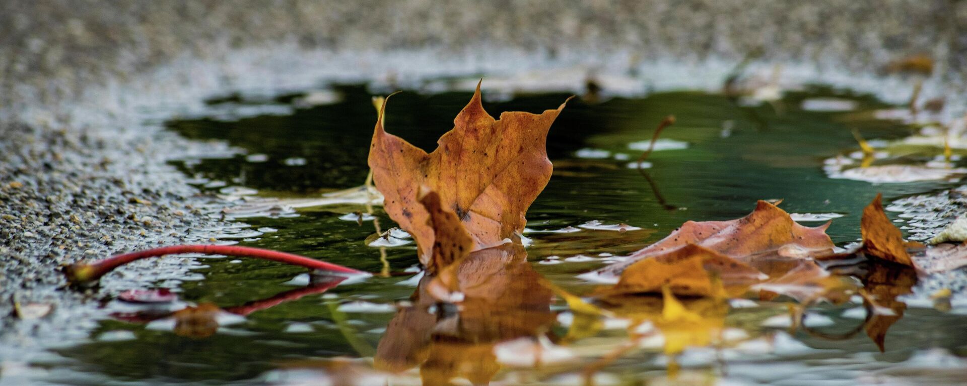 Бир жумага карата аба ырайы божомолу - Sputnik Кыргызстан, 1920, 14.09.2025